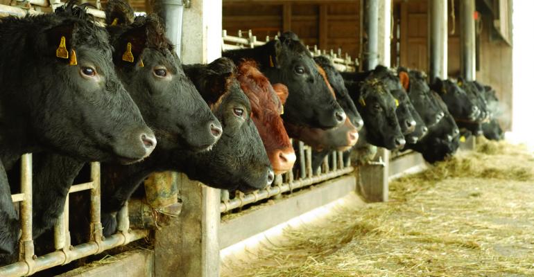 USDA announces cooperative funding for cattle RFID project proposals